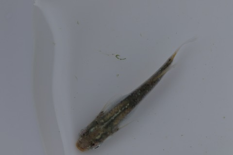 20200315124054_1V5A8801