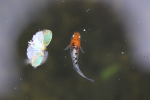 20191013110346_1V5A1678