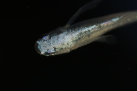 20190413122718_IMG_6198