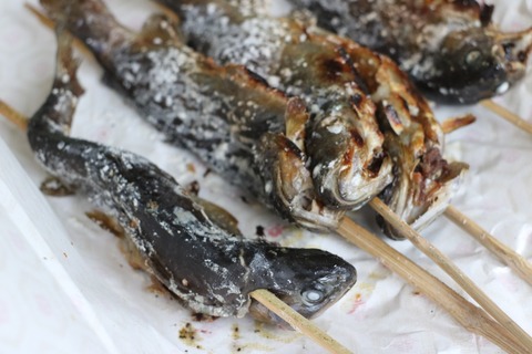 20190731135543_IMG_8020