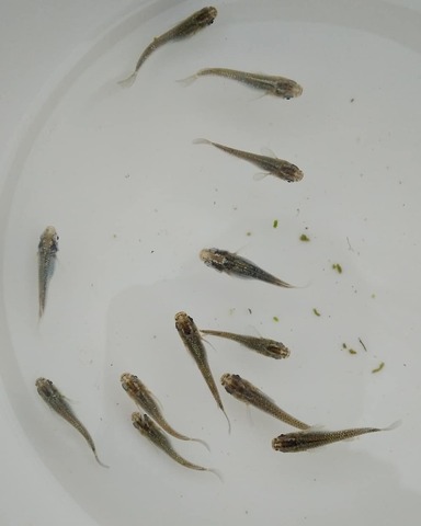 IMG_20200226_171015_480