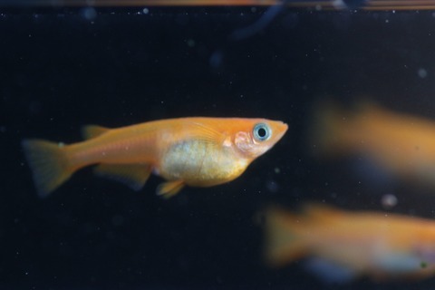 20190726180933_1V5A7796