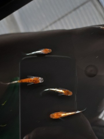 20220724_083642