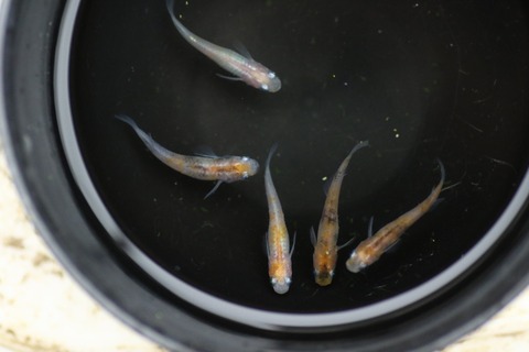 20190715170736_1V5A7593