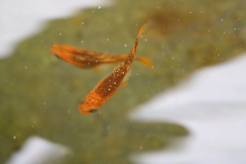 20180319102646_IMG_3986