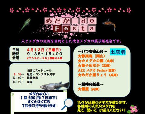 Screenshot_20250305-013817~2