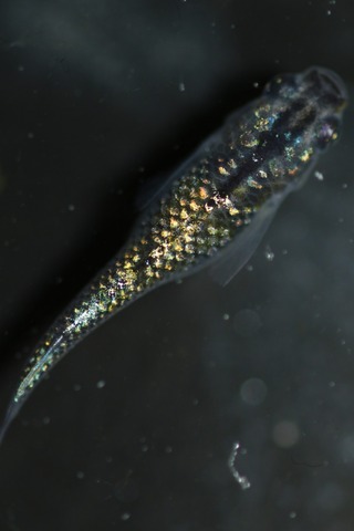 20200331103659_1V5A9328