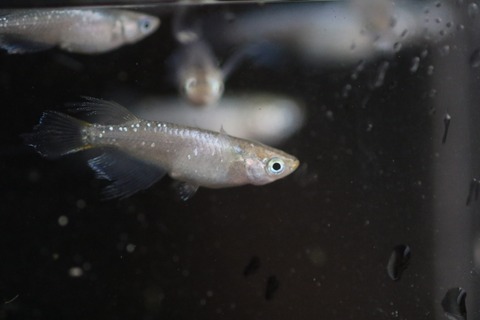 20190820181318_1V5A8944