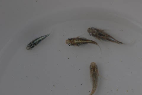 20200315125715_1V5A8867