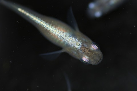 20190414114158_IMG_6212