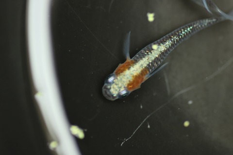 20190304140659_IMG_4375