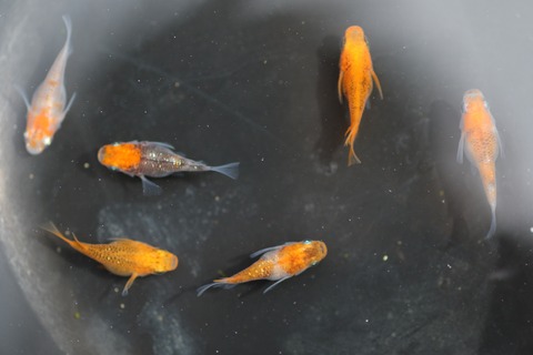 20200322112559_1V5A9125