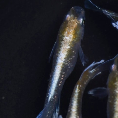 IMG_20240328_020723_170