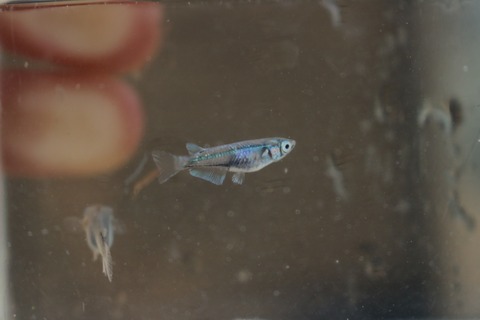 20180730180739_IMG_7666