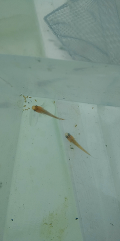 Capture_200127_122001_20200127_203721