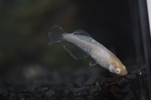 20191006103032_1V5A1558