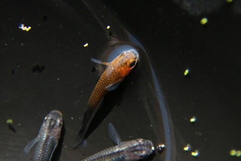 [画像:ab41973b-s.jpg]