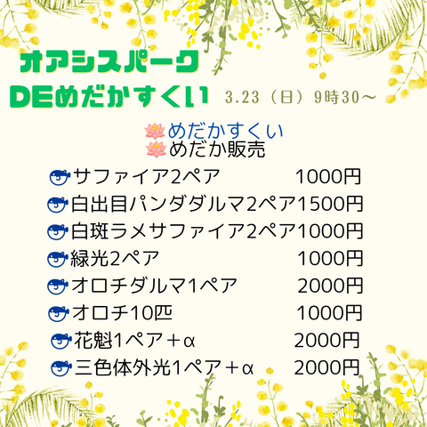 オアシスパークdeめだかすくい_20250321_085342_0000