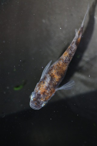 20190726180336_1V5A7780