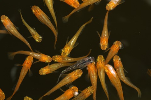 20190802104512_1V5A8313