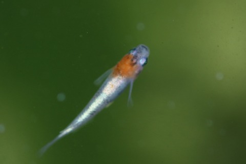 20191013104934_1V5A1633