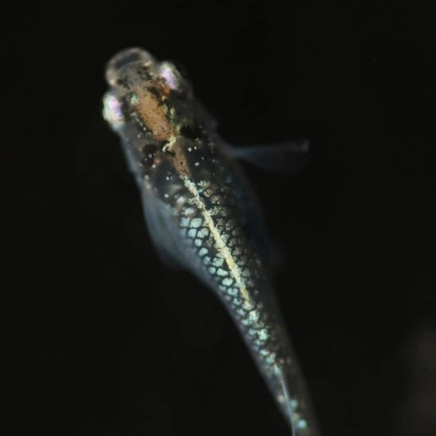 IMG_20191227_194741_200