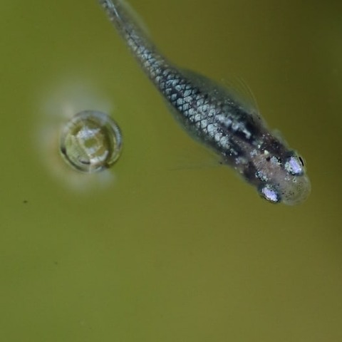 IMG_20200217_135249_682