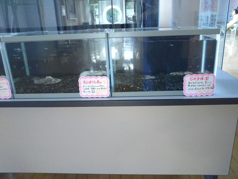 [画像:ae9eb814-s.jpg]