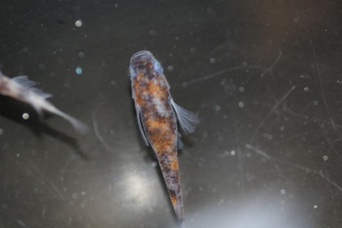 20190726180028_1V5A7770