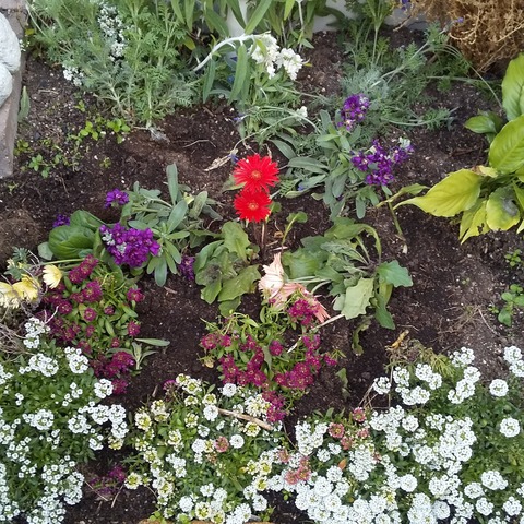 IMG_20201221_102748_479