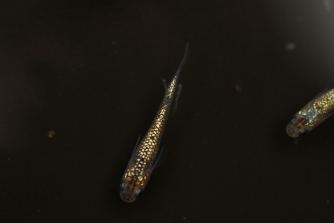 20220309121840_1V5A3456