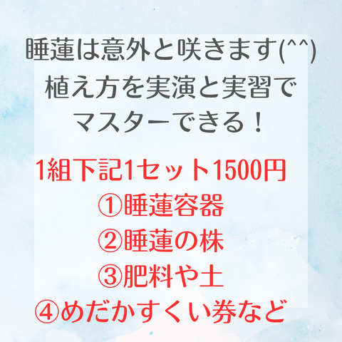 睡蓮は意外と咲きます(^^)_20250304_005133_0000