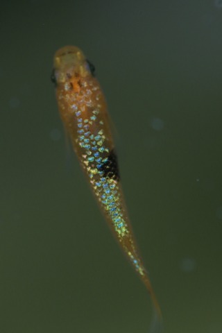 20191013104755_1V5A1629