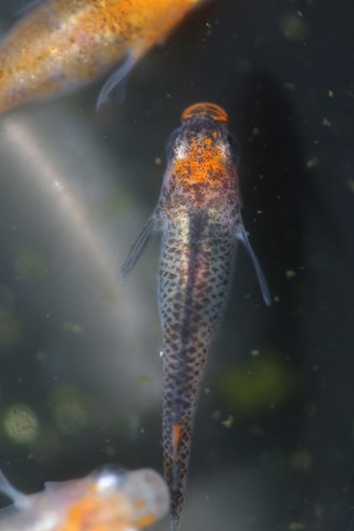 20200322102031_1V5A9040