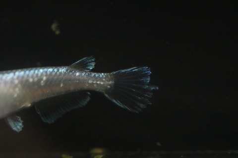 20190417142923_IMG_6377_1