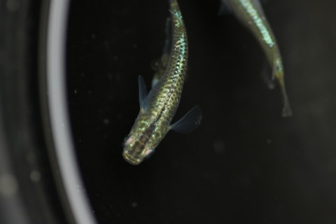 20190429113130_IMG_6644