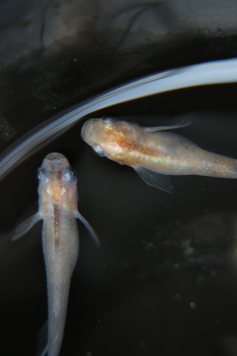 [画像:b497675f-s.jpg]