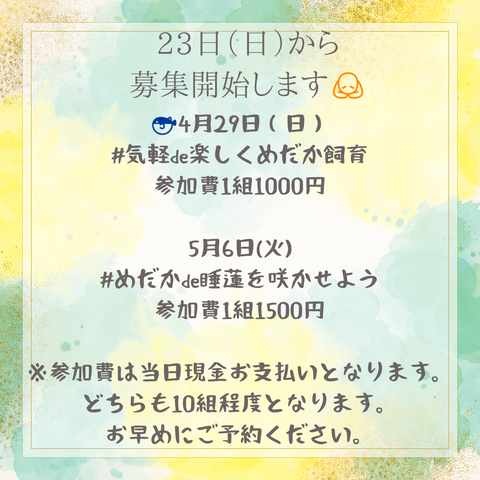 緑　黄色　水彩　シンプル　お知らせ　Instagram投稿_20250321_090523_0000