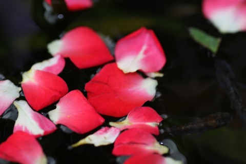 20190708181209_1V5A7346