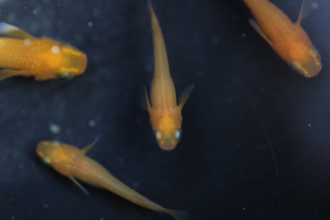 20190426160058_IMG_6608