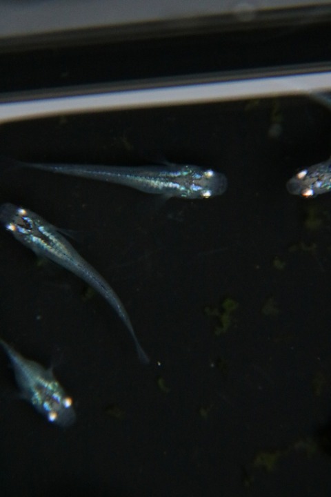 [画像:b862d151-s.jpg]