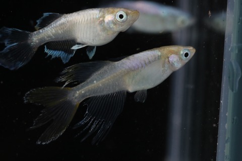 20200730180927_IMG_2095