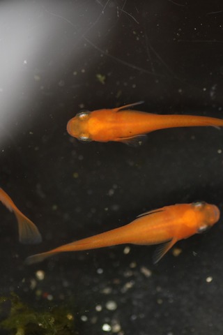 20190426155824_IMG_6607