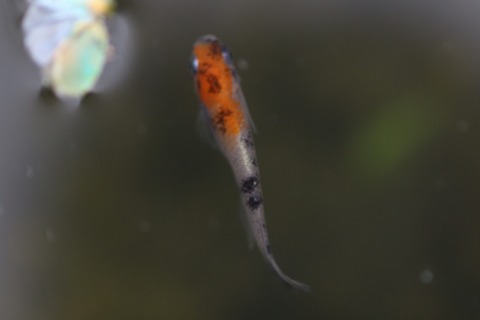 20191013110350_1V5A1679