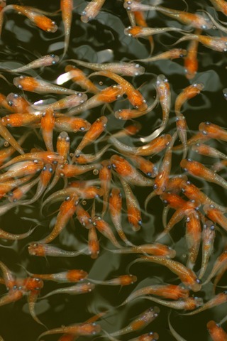 20190802105519_1V5A8351