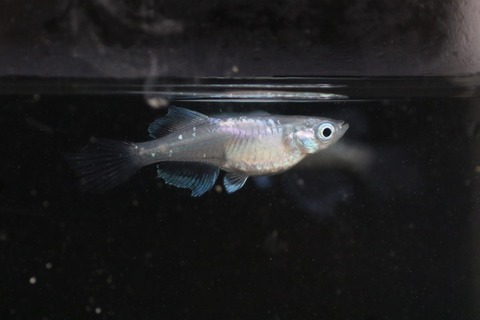 20190820181920_1V5A8979