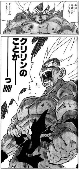 132326982223513117704_KrillinJP