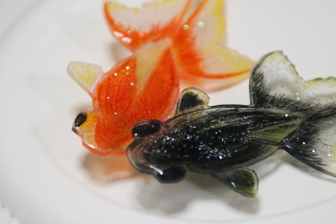 20180123005658_IMG_2778