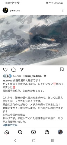 Screenshot_20220918-115021_Instagram