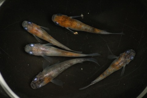 20190417150100_IMG_6397